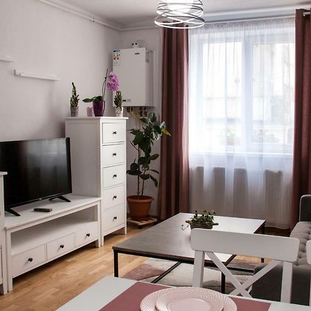 Ana Cristina Apartament Sighisoara Exterior photo