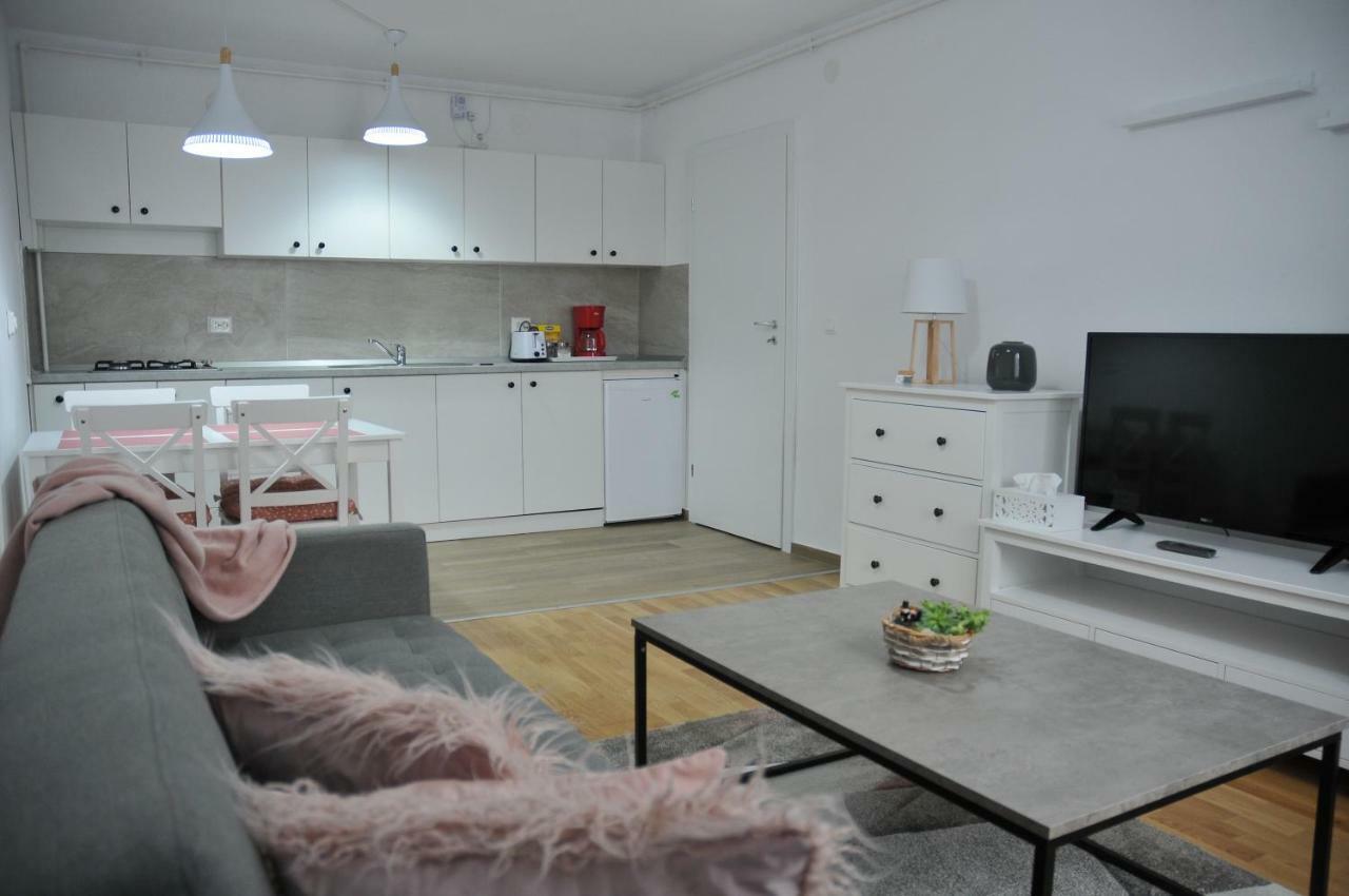 Ana Cristina Apartament Sighisoara Exterior photo