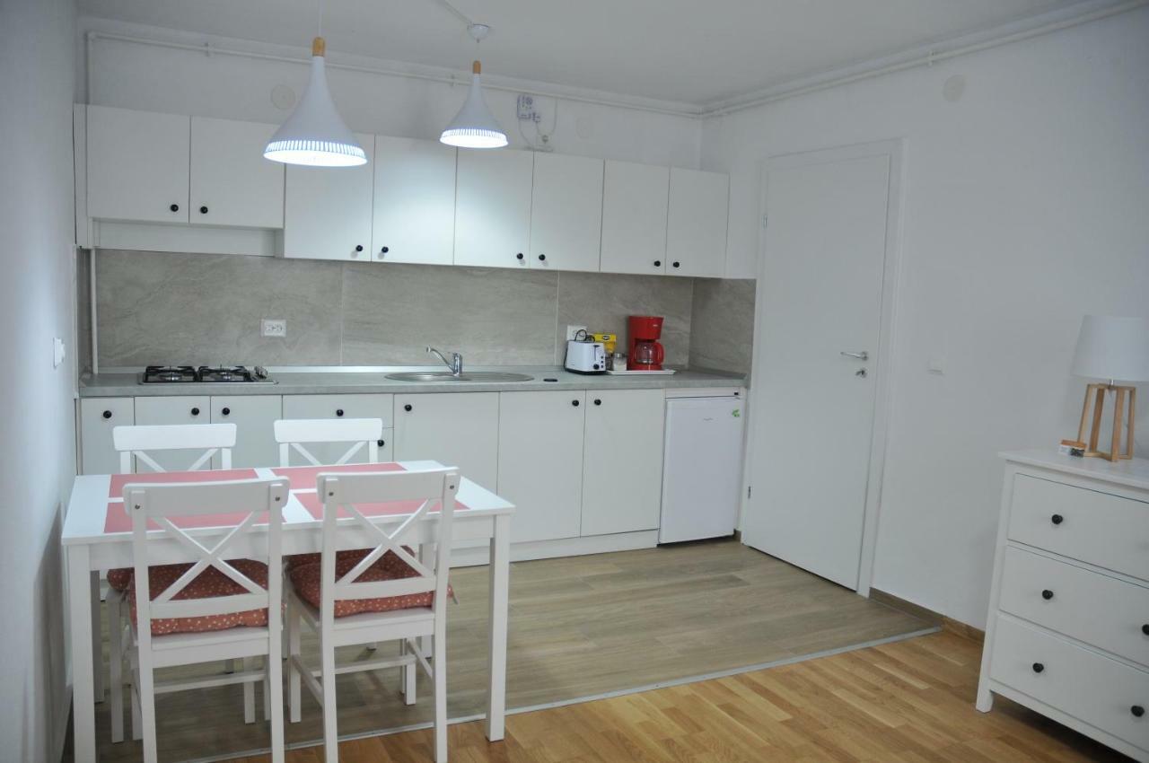 Ana Cristina Apartament Sighisoara Exterior photo
